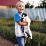 650+ Cute Cat Names For Boys : The Ultimate List Of Adorable Feline Names
