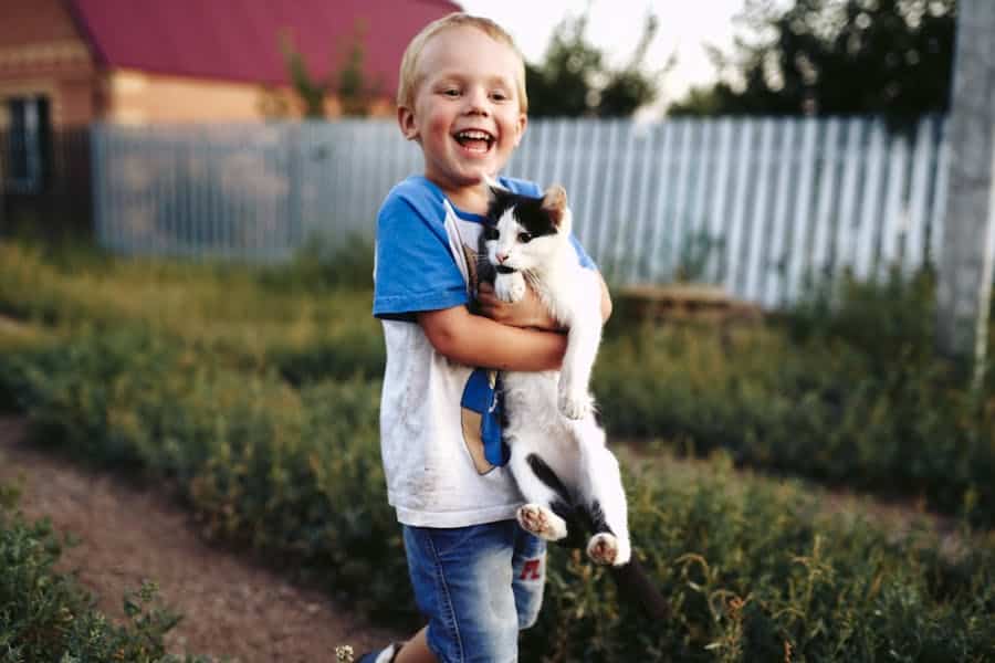 650+ Cute Cat Names For Boys : The Ultimate List Of Adorable Feline Names