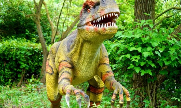 200+ Cute Names For Stuffed Dinosaurs Girl: Fun Picks