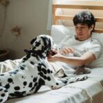 750+ Cute Pet Names For Boyfriend: The Ultimate List Of Adorable Nicknames