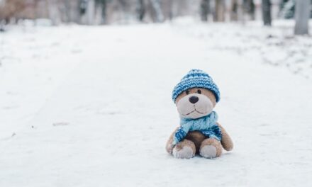 650+ Cute Names For A Stuffed Animal: Adorable And Fun Ideas