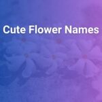 Cute Flower Names That Bloom With Charm and Meaning