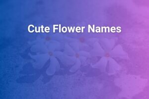 cute flower names
