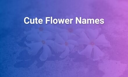 Cute Flower Names That Bloom With Charm and Meaning