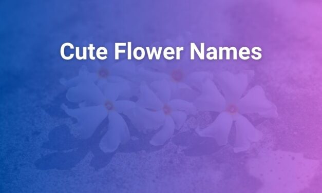 Cute Flower Names That Bloom With Charm and Meaning